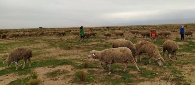 Un país d’històries (LVII). Com m’agraden les creïlles!!!!
