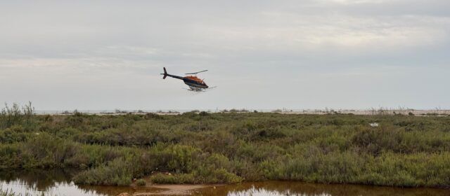 La Diputació de Castelló intensifica els tractaments contra els mosquits per via aèria i terrestre