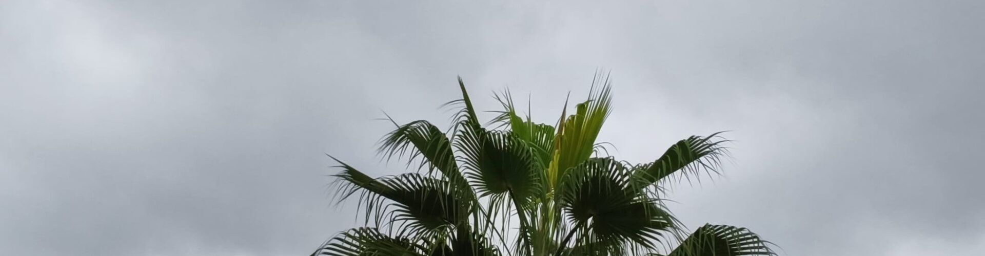 El “parte” del temps: de pluja n’hi ha per a una bona estona i sumarem més “caldo”, “carrers mullats, calaixos eixuts”