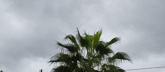 El “parte” del temps: de pluja n’hi ha per a una bona estona i sumarem més “caldo”, “carrers mullats, calaixos eixuts”