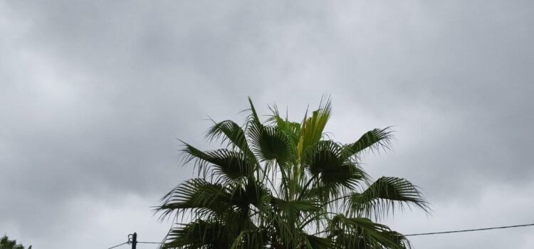 El “parte” del temps: de pluja n’hi ha per a una bona estona i sumarem més “caldo”, “carrers mullats, calaixos eixuts”