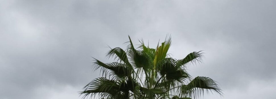 El “parte” del temps: de pluja n’hi ha per a una bona estona i sumarem més “caldo”, “carrers mullats, calaixos eixuts”
