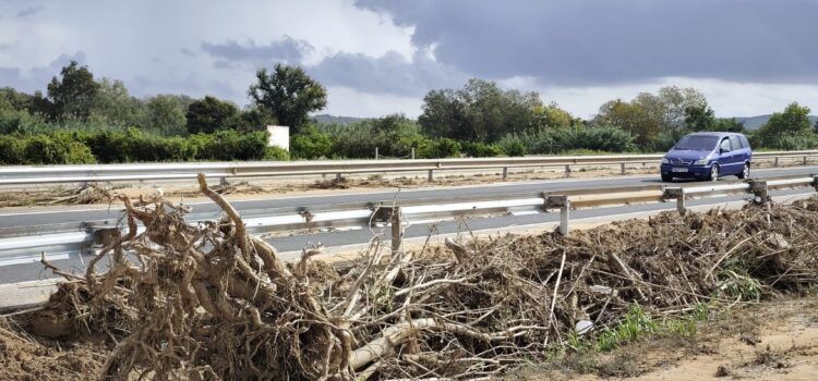 Vora l’Ebre: El Barranc de La Galera i els desperfectes que causa