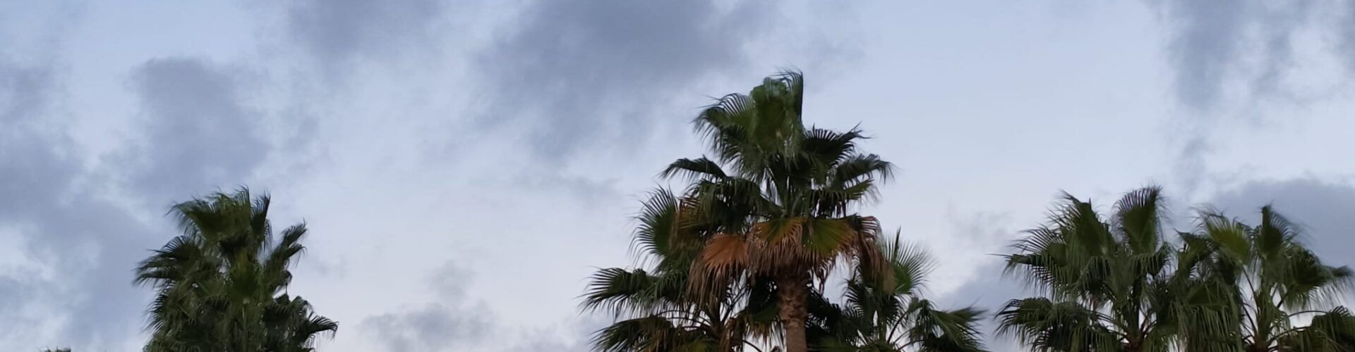 El “parte” del temps: dissabte al tard podria començar a ploure i diumenge i dilluns amb prou ganes