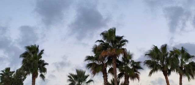 El “parte” del temps: dissabte al tard podria començar a ploure i diumenge i dilluns amb prou ganes