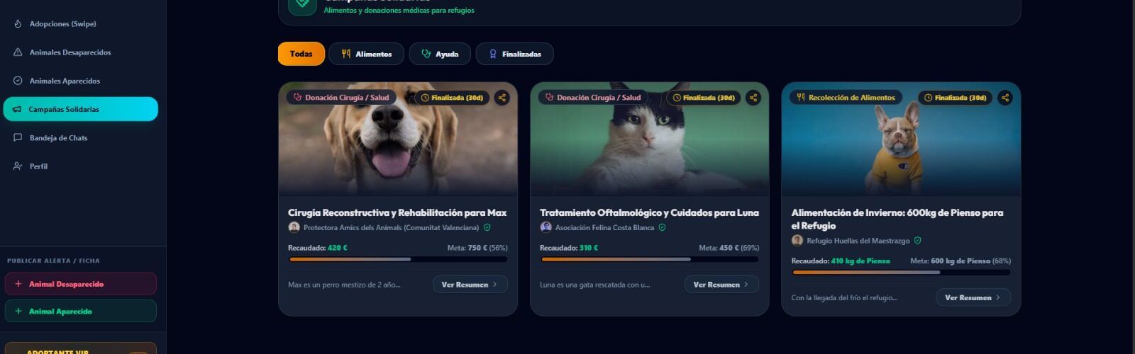 ‘FindAPet’: plataforma solidaria para rescatar animales perdidos mediante alertas GPS
