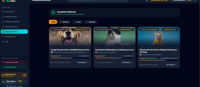 ‘FindAPet’: plataforma solidaria para rescatar animales perdidos mediante alertas GPS
