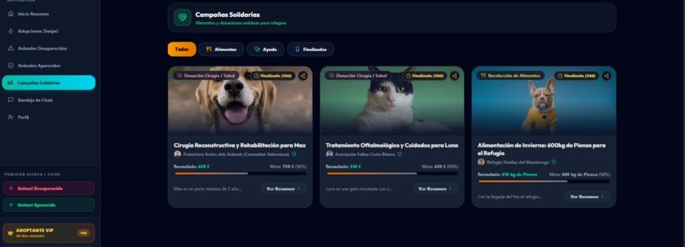 ‘FindAPet’: plataforma solidaria para rescatar animales perdidos mediante alertas GPS