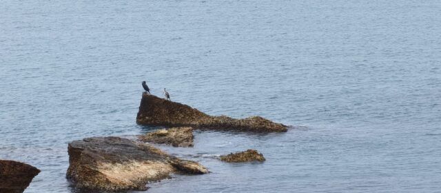 El “parte” del temps: ha de seguir plovent i demà dilluns també, dimarts ja afluixaria