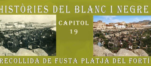 Històries del blanc i negre- Capítol 19.Recollida de fusta a la platja del Fortí