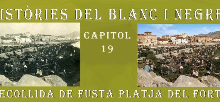 Històries del blanc i negre- Capítol 19.Recollida de fusta a la platja del Fortí