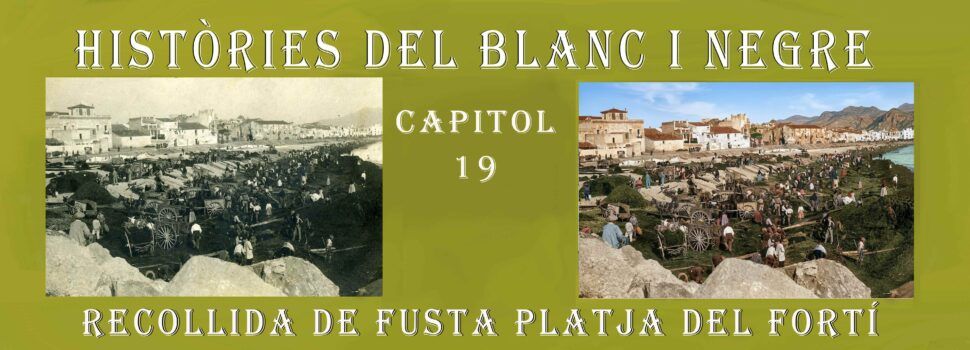 Històries del blanc i negre- Capítol 19.Recollida de fusta a la platja del Fortí