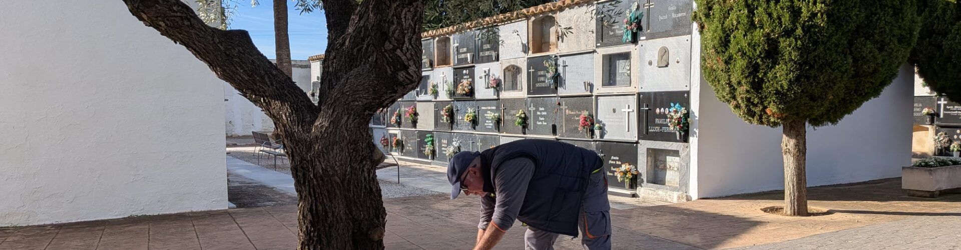 El Cementeri de Benicarló es prepara per a la celebració de Tots Sants
