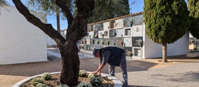 El Cementeri de Benicarló es prepara per a la celebració de Tots Sants