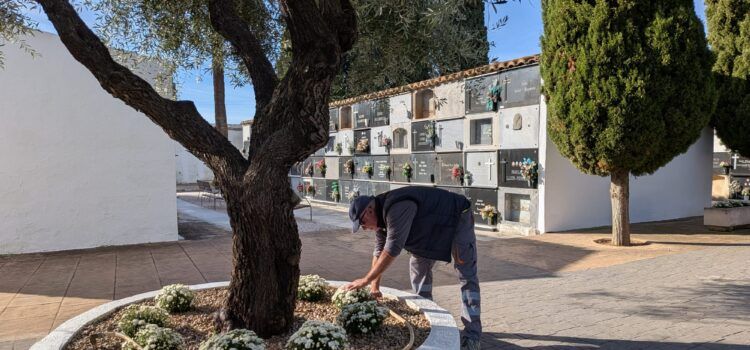 El Cementeri de Benicarló es prepara per a la celebració de Tots Sants
