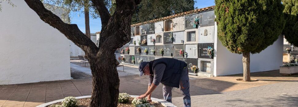 El Cementeri de Benicarló es prepara per a la celebració de Tots Sants