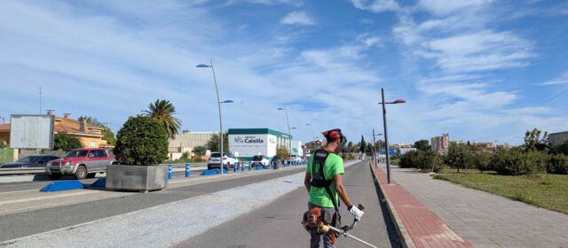 Benicarló contracta una persona jove desocupada a través del programa EMCORP