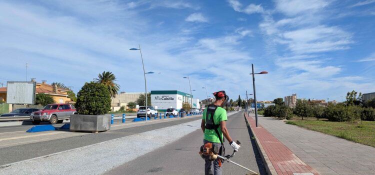 Benicarló contracta una persona jove desocupada a través del programa EMCORP