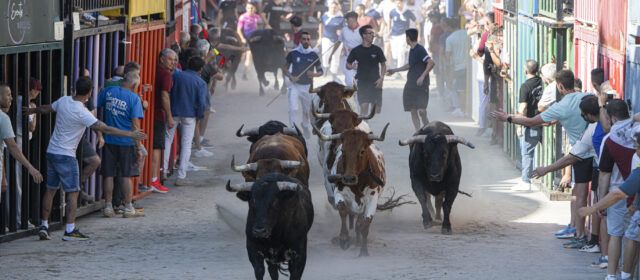 La Diputació fomenta la tradició taurina amb la concessió de 150.000 euros en ajudes per a 166 associacions i penyes taurines de la província