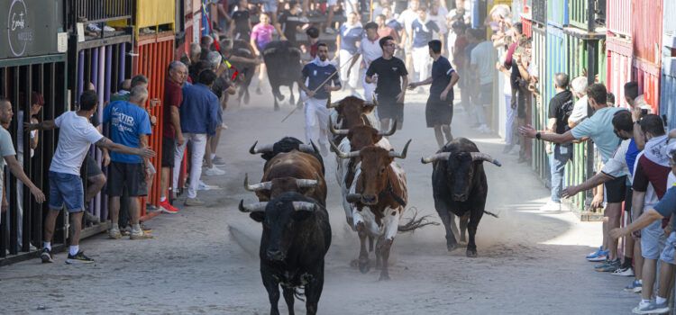 La Diputació fomenta la tradició taurina amb la concessió de 150.000 euros en ajudes per a 166 associacions i penyes taurines de la província
