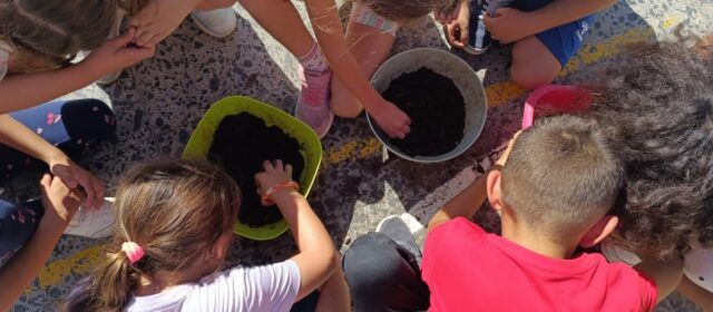 Vinaròs inicia una nova edició del programa d’horts escolars