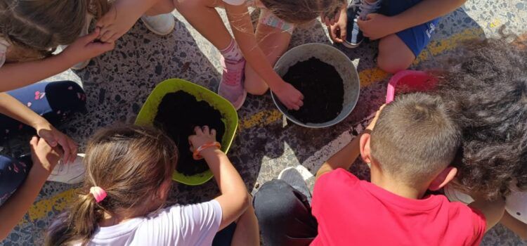 Vinaròs inicia una nova edició del programa d’horts escolars