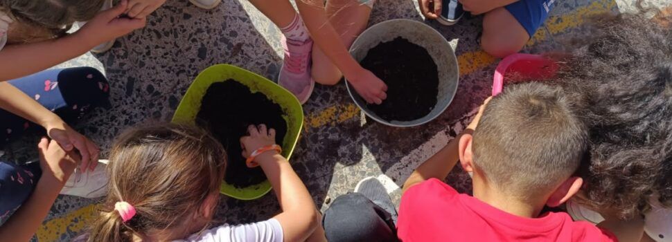 Vinaròs inicia una nova edició del programa d’horts escolars